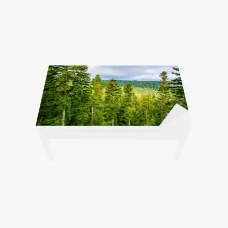 Sticker pour table et bureau paysage automnal de la Forêt-Noire – Wallnifity®