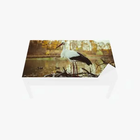 Sticker pour table et bureau cigogne solitaire au bord du lac en automne – Wallnifity®