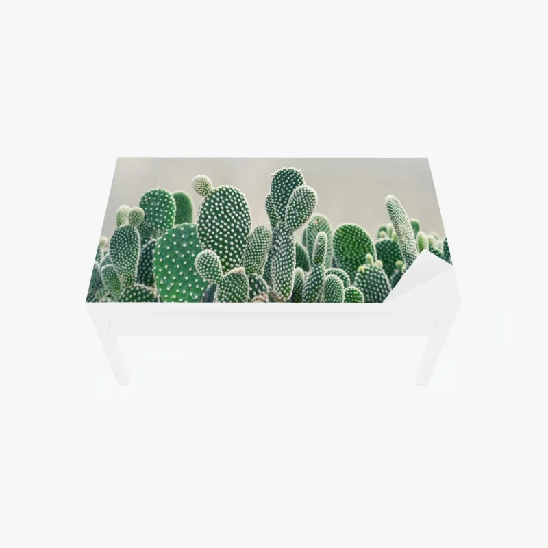 Stickers pour table et bureau – Wallnifity®