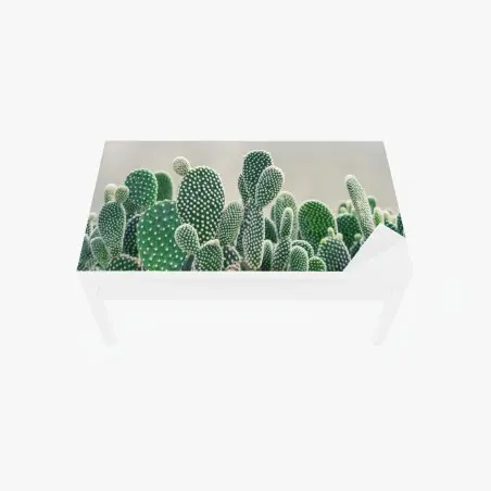 Sticker pour table et bureau opuntia en gros plan – élégance verte et texture – Wallnifity®