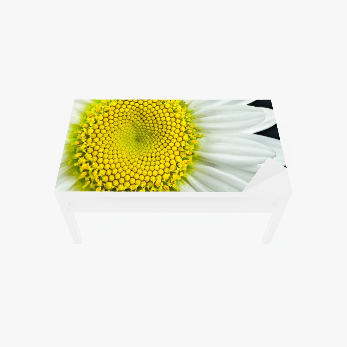 Sticker pour table et bureau marguerite en gros plan : spirale botanique – Wallnifity®