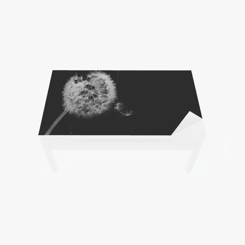 Fleurs – Wallnifity®
