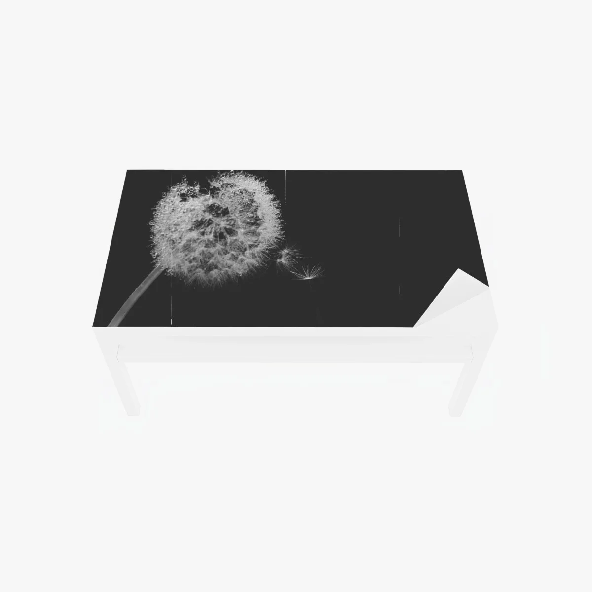 Sticker pour table et bureau souffle de pissenlit en noir et blanc – Wallnifity® Sticker pour table et bureau souffle de pissenlit en noir et blanc – Wallnifity®