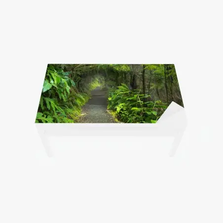 Sticker pour table et bureau forêt tropicale luxuriante sur le sentier Kilauea Iki – Wallnifity®