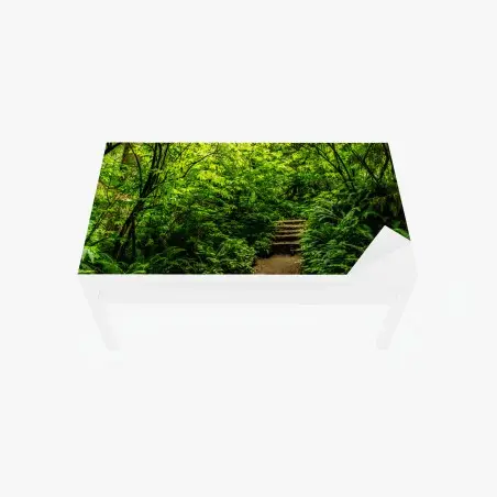 Sticker pour table et bureau promenade au cœur d'un sous-bois verdoyant – Wallnifity®