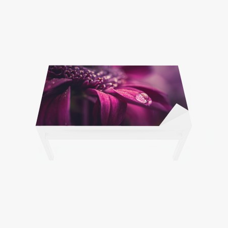 Sticker pour table et bureau goutte de rosée sur pétale pourpre – Wallnifity®