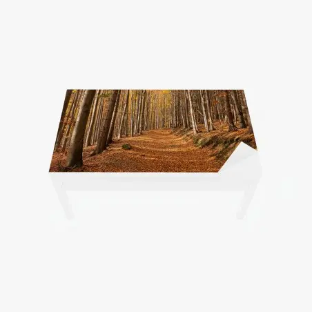 Sticker pour table et bureau chemin d'automne en forêt dorée – Wallnifity®