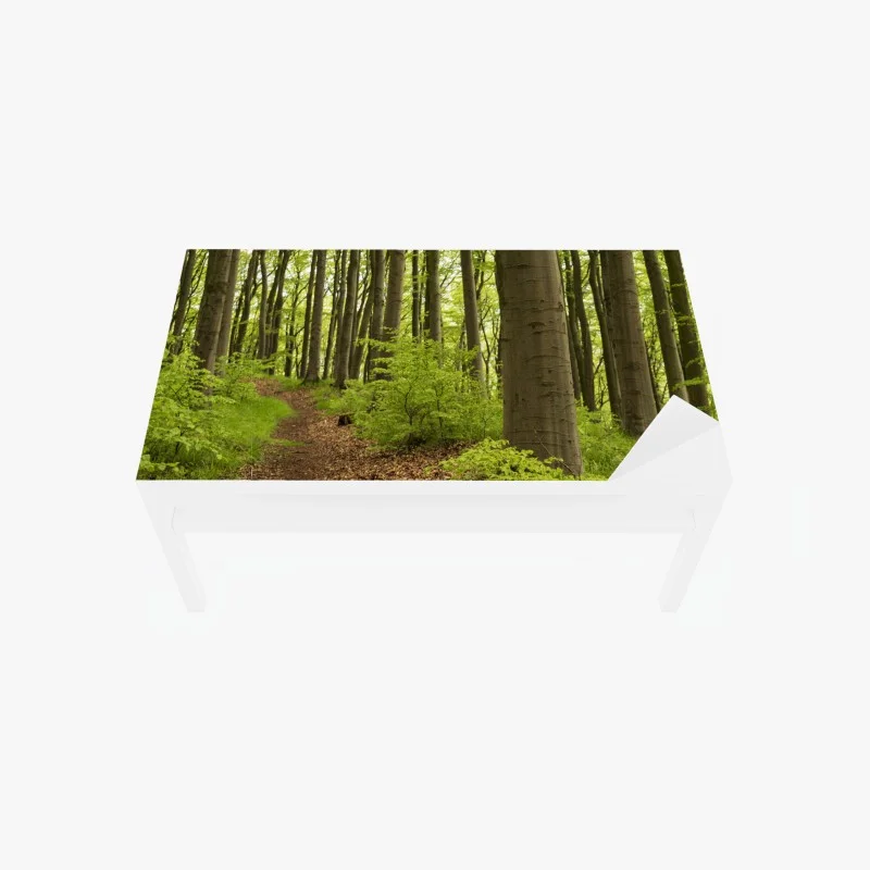 Stickers pour table et bureau – Wallnifity®