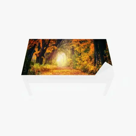 Sticker pour table et bureau allée d'automne baignée de lumière – Wallnifity®