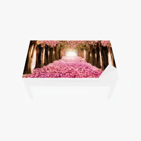 Sticker pour table et bureau allée de cerisiers en fleurs – Wallnifity®