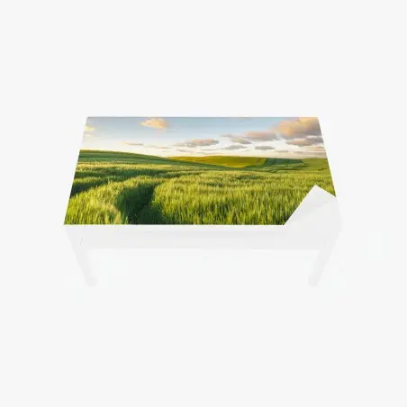 Sticker pour table et bureau panorama de champs verts au printemps – Wallnifity®