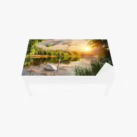Sticker pour table et bureau paysage au coucher de soleil avec un cygne blanc – Wallnifity®