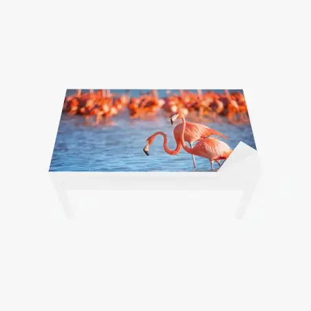 Sticker pour table et bureau élégance des flamants roses au bord de l'eau – Wallnifity®
