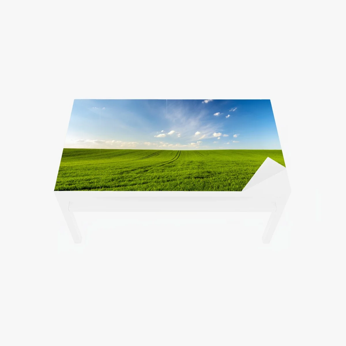 Sticker pour table et bureau panorama champ de blé vert au printemps – Wallnifity® Sticker pour table et bureau panorama champ de blé vert au printemps – Wallnifity®