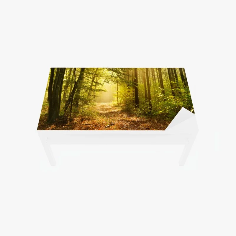 Stickers pour table et bureau – Wallnifity®