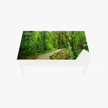 Sticker pour table et bureau chemin en bois au cœur de la forêt tropicale – Wallnifity®