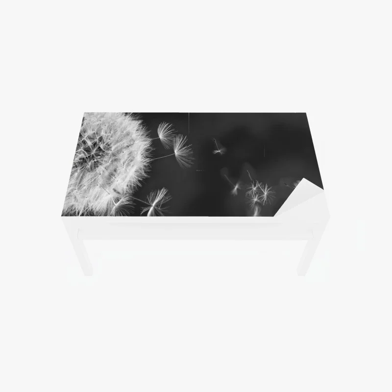 Minimaliste – Wallnifity®