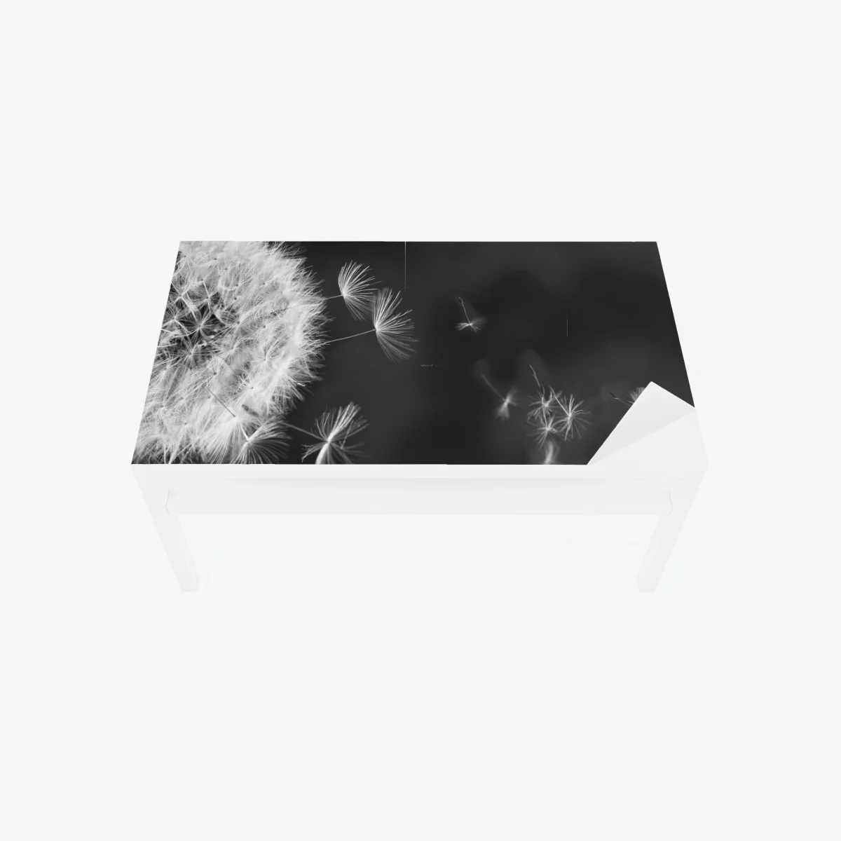 Sticker pour table et bureau souffle de pissenlit en noir et blanc – Wallnifity® Sticker pour table et bureau souffle de pissenlit en noir et blanc – Wallnifity®