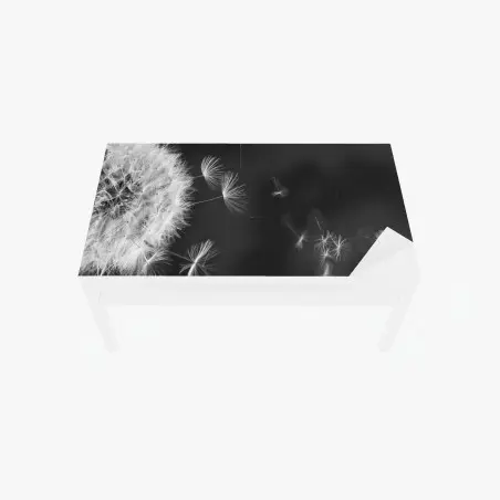 Sticker pour table et bureau souffle de pissenlit en noir et blanc – Wallnifity®
