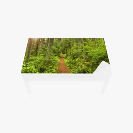 Sticker pour table et bureau sentier forestier verdoyant et paisible – Wallnifity®