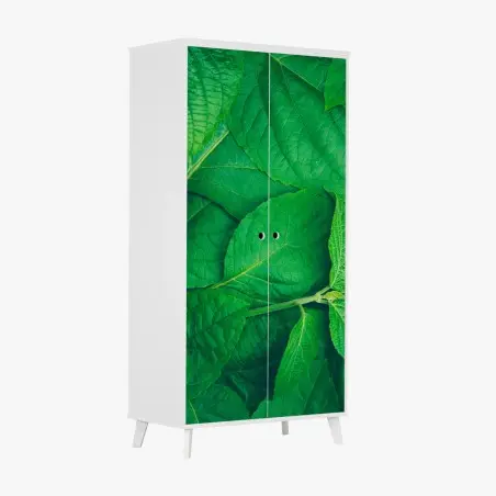 Sticker pour armoire feuillage vert luxuriant – Wallnifity®