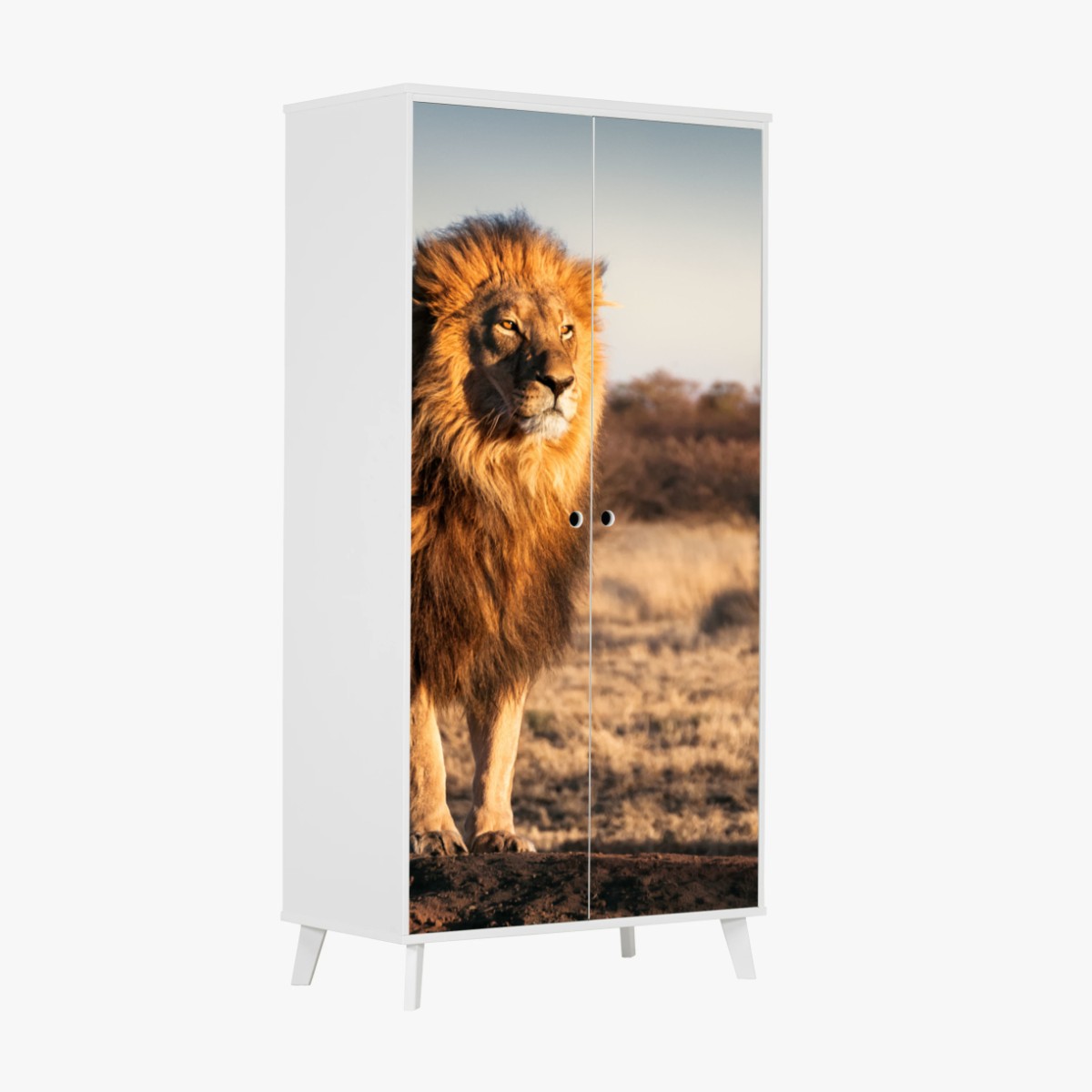 Sticker pour armoire le roi de la savane en majesté – Wallnifity®