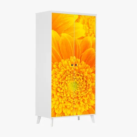 Sticker pour armoire éclat solaire gerbera en gros plan – Wallnifity®