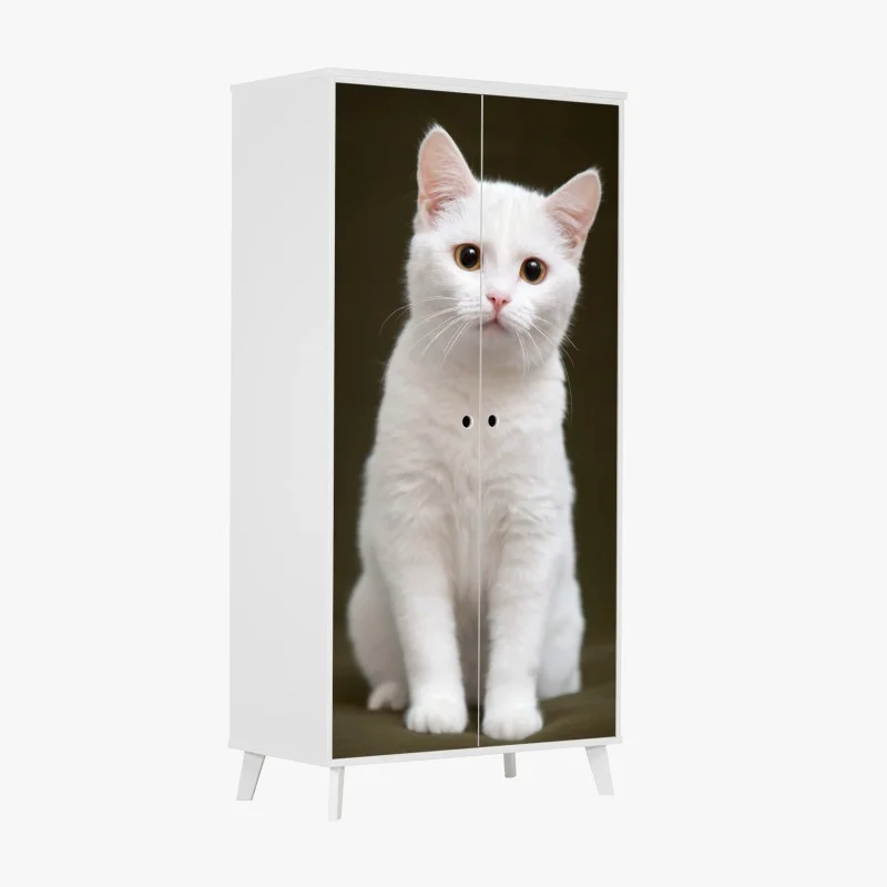 Stickers pour armoire – Wallnifity®