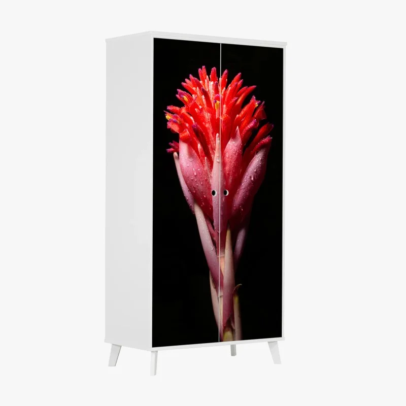 Stickers pour armoire – Wallnifity®