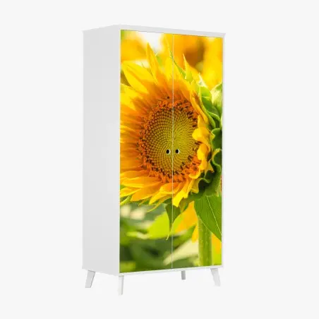 Sticker pour armoire gros plan de tournesol lumineux – Wallnifity®