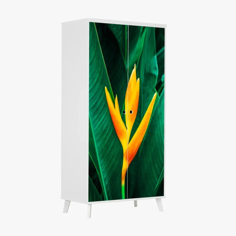 Nature – Wallnifity®