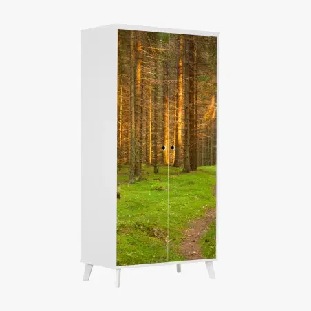 Sticker pour armoire lumière dorée dans la forêt de sapins – Wallnifity®