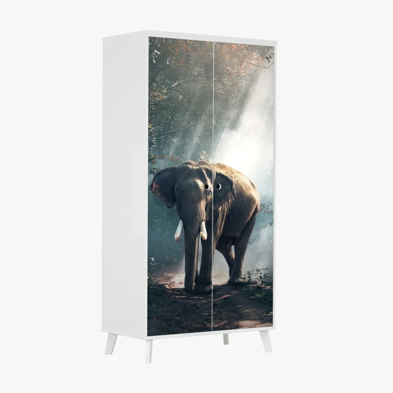 Stickers pour armoire – Wallnifity®