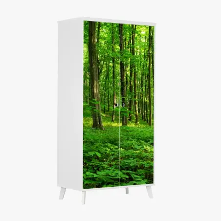 Sticker pour armoire forêt verdoyante au printemps – Wallnifity®