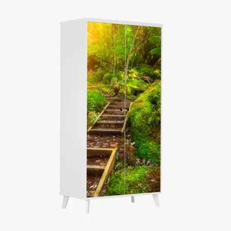 Sticker pour armoire sentier luxuriant dans la forêt jurassique de Tasmanie – Wallnifity®