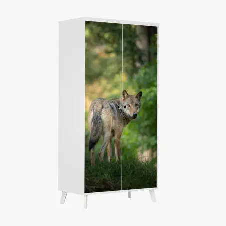 Sticker pour armoire portrait de loup dans une clairière boisée – Wallnifity®
