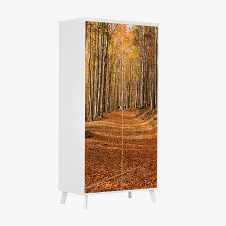 Sticker pour armoire chemin d'automne en forêt dorée – Wallnifity®