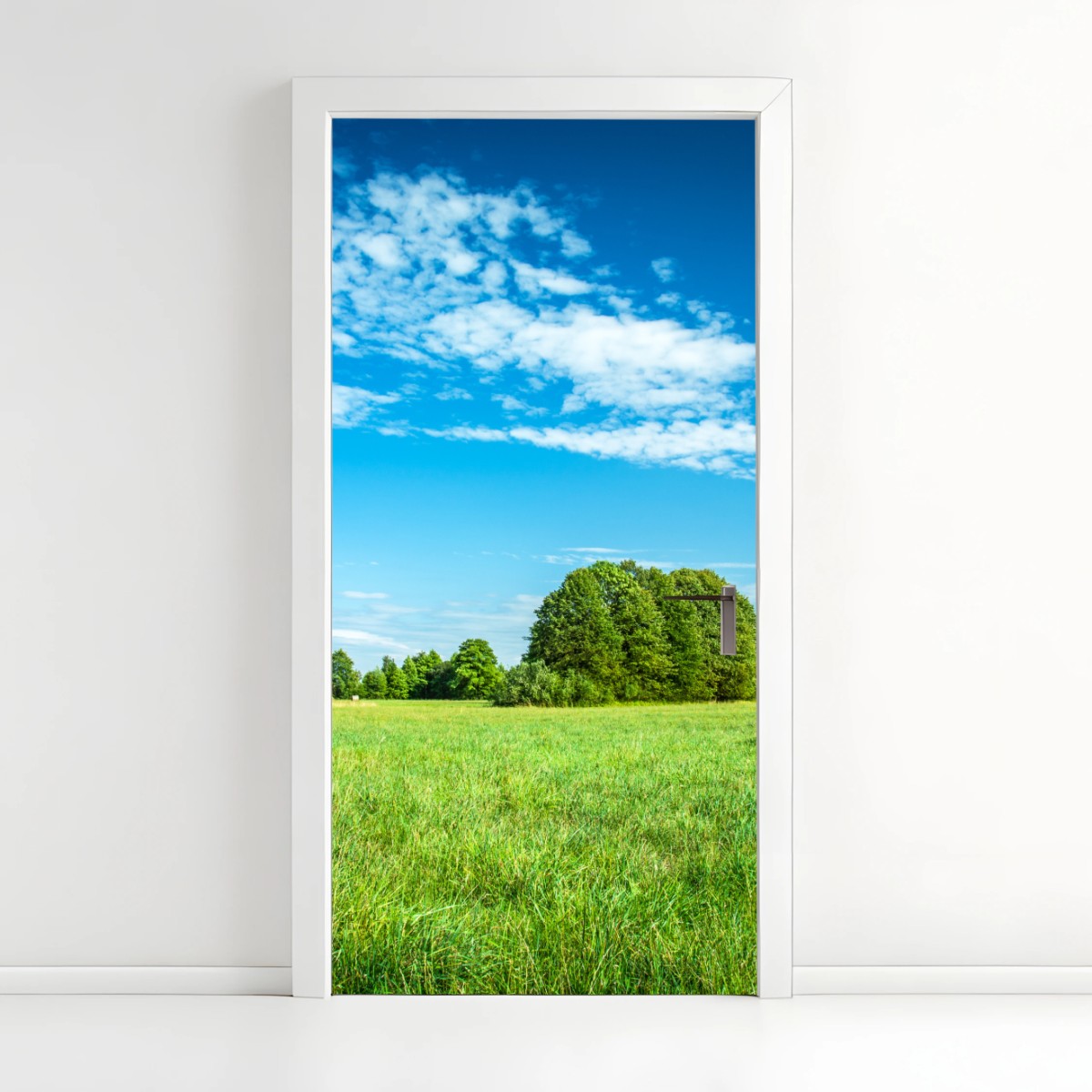 Sticker pour porte paysage de prairie sous ciel bleu – Wallnifity®