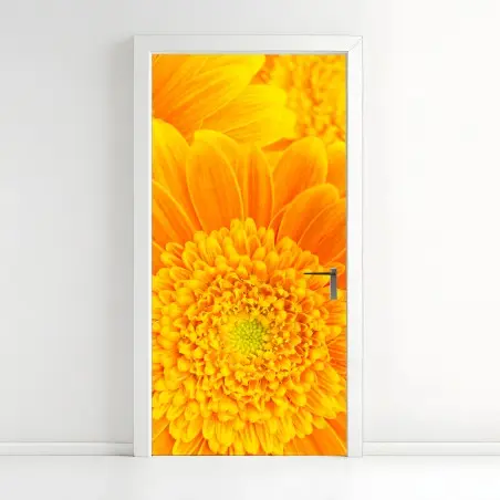 Sticker pour porte éclat solaire gerbera en gros plan – Wallnifity®