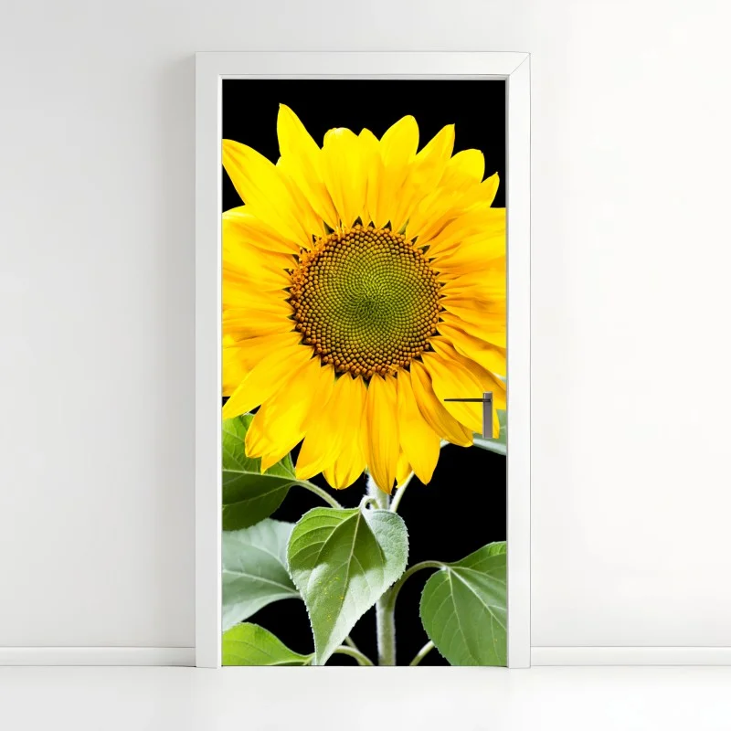 Fleurs et plantes – Wallnifity®