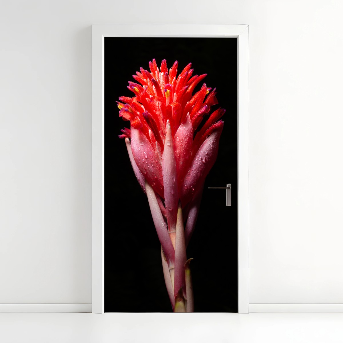 Sticker pour porte éclat floral tropical en gros plan – Wallnifity®