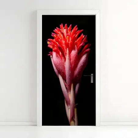 Sticker pour porte éclat floral tropical en gros plan – Wallnifity®