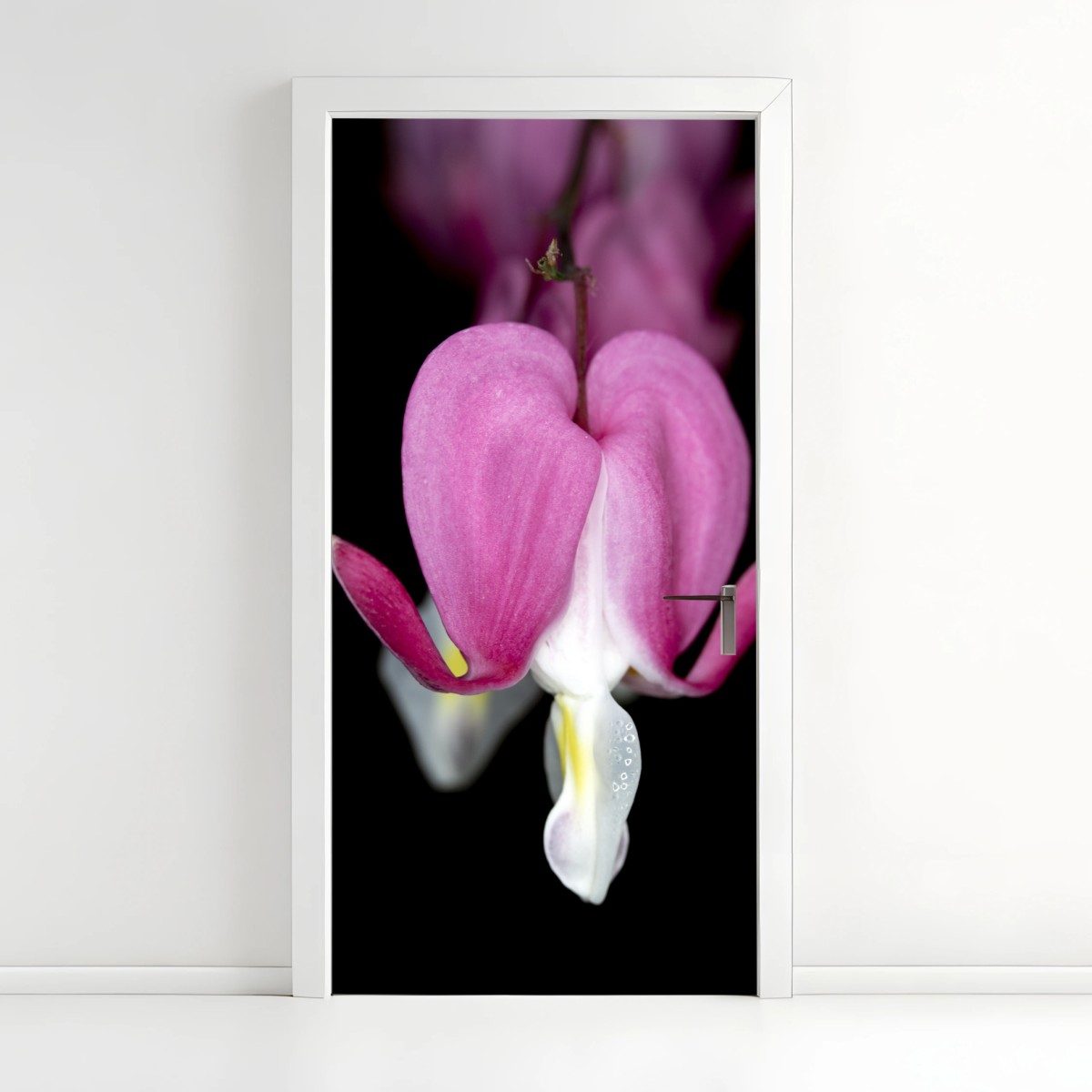 Sticker pour porte fleur cœur-de-marie en gros plan – Wallnifity®