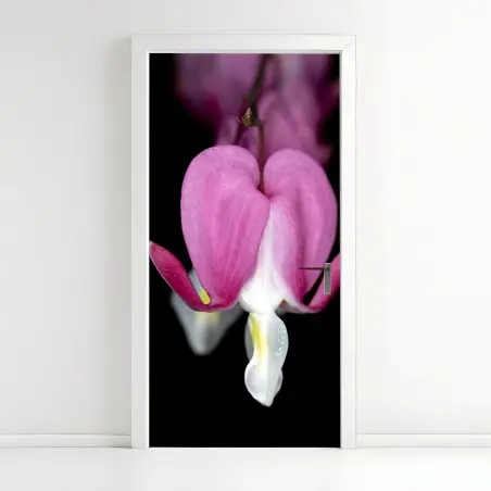 Sticker pour porte fleur cœur-de-marie en gros plan – Wallnifity®