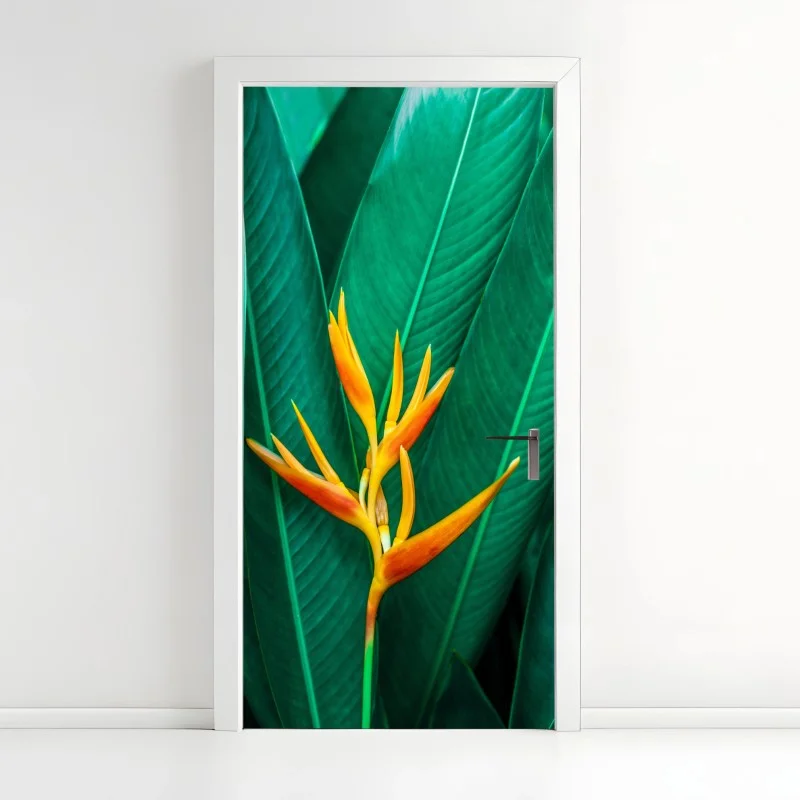 Fleurs et plantes – Wallnifity®