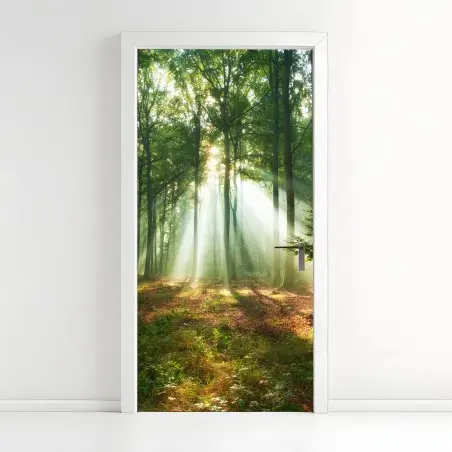 Sticker pour porte lumière matinale dans la forêt – Wallnifity®