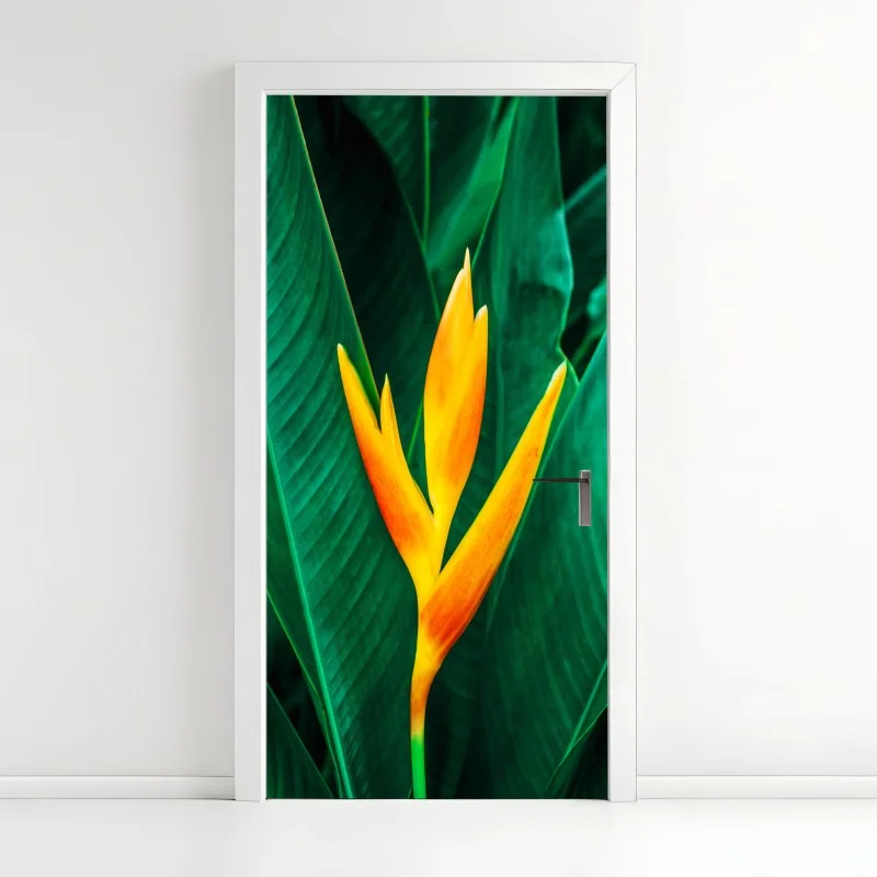 Nature – Wallnifity®