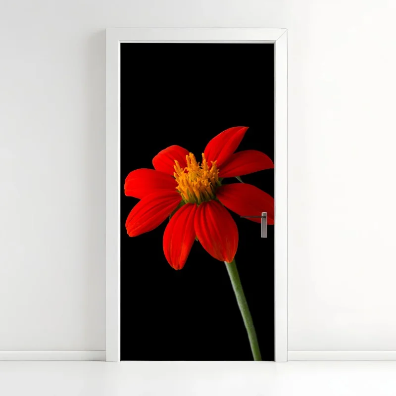 Fleurs et plantes – Wallnifity®
