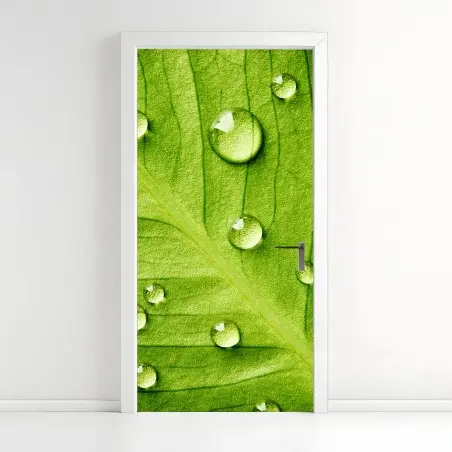 Sticker pour porte gouttes sur feuille verte en gros plan – Wallnifity®