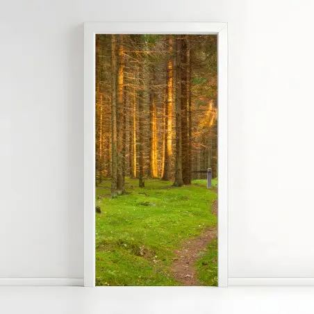 Sticker pour porte lumière dorée dans la forêt de sapins – Wallnifity®